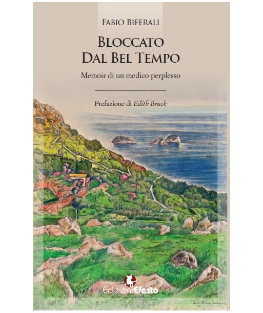 Bloccato dal bel tempo. Memoir di un medico perplesso