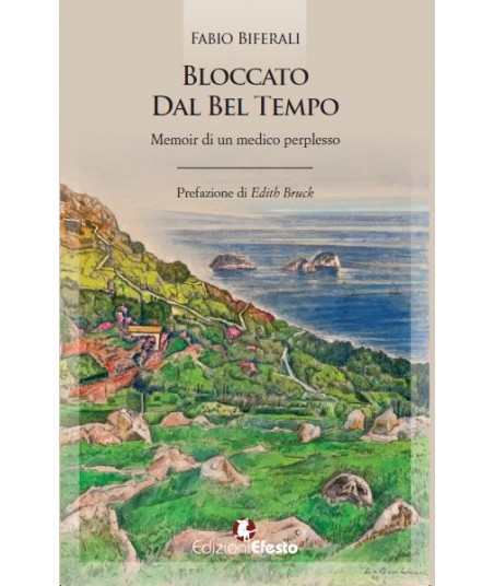 Bloccato dal bel tempo. Memoir di un medico perplesso